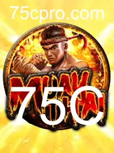 MuayThai: Arte Marcial e Jogo Tradicional - Introdução e Regras